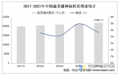 2025年中国蔬菜行业市场规模、进出口环境及沉点
